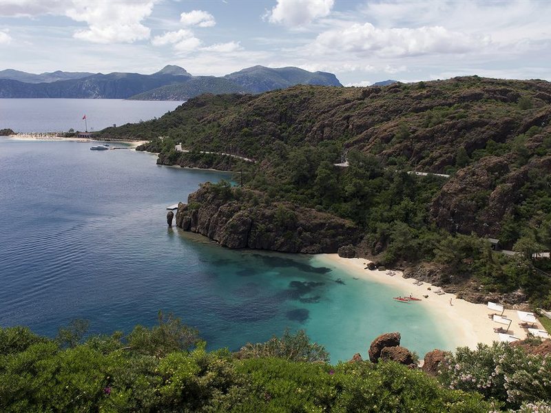 D Maris Вау (ex 159817