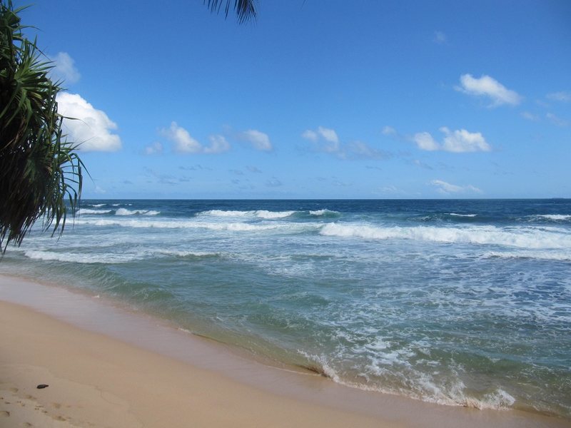 Dalawella Beach Resort 107478