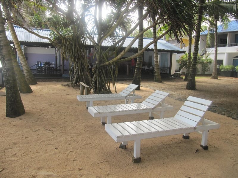 Dalawella Beach Resort 107479