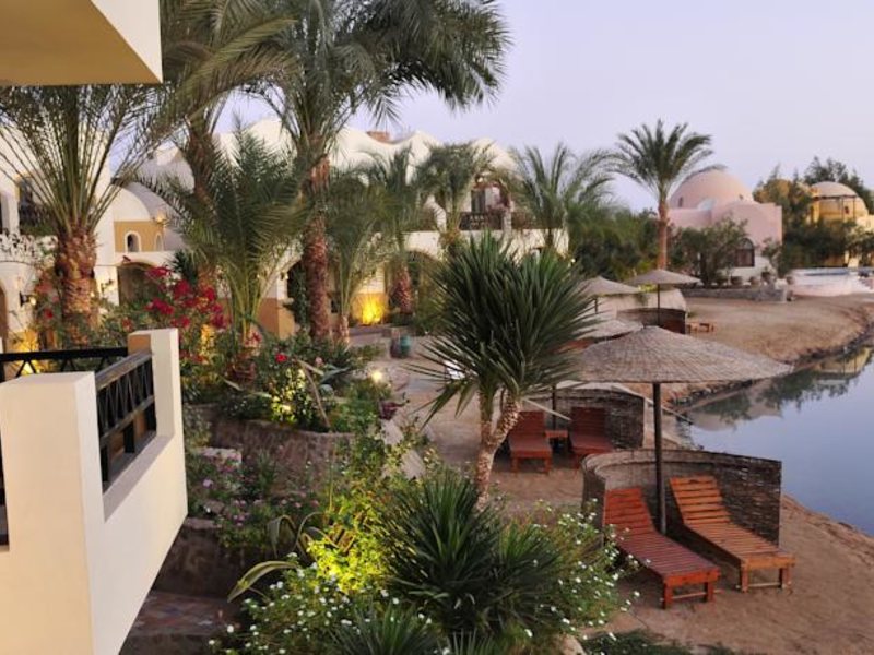 Dawar El Omda 122964