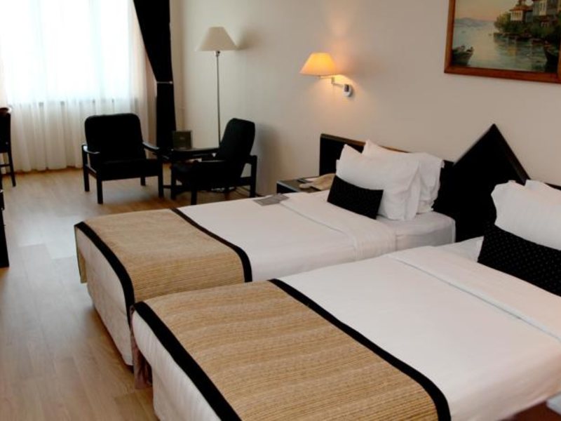 Dedeman Istanbul Hotel 68799