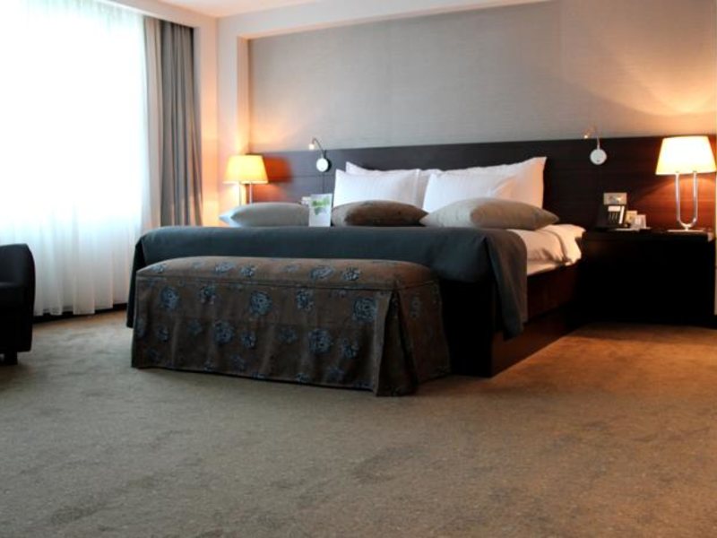 Dedeman Istanbul Hotel 68809
