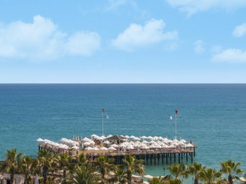 Delphin Botanik Platinum (ех 58263