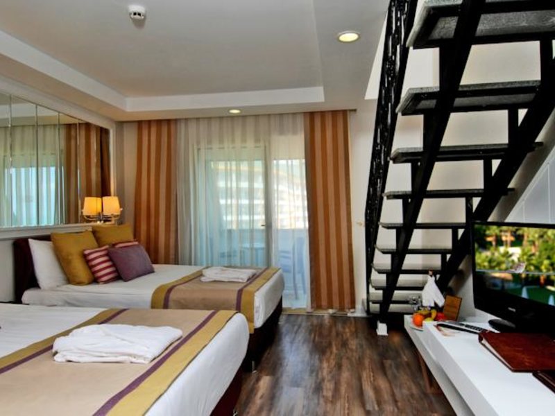 Delphin Diva Premiere 73378