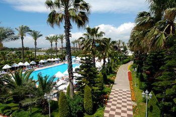 Delphin Diva Premiere