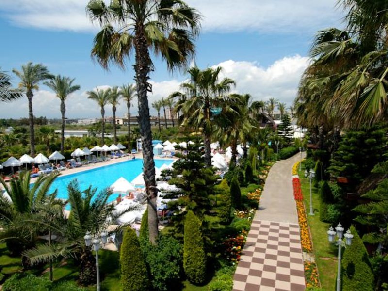 Delphin Diva Premiere 73388