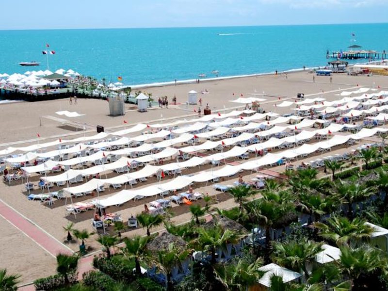 Delphin Diva Premiere 73401