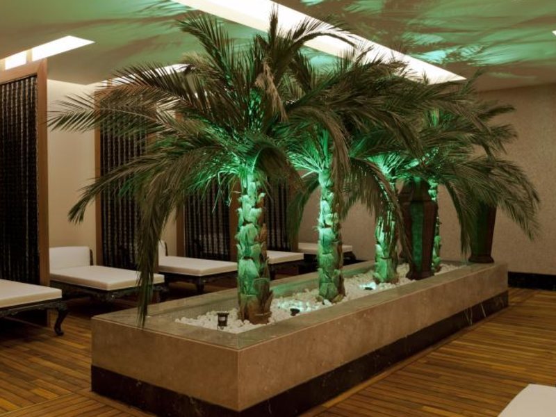 Delphin Imperial Lara 40313