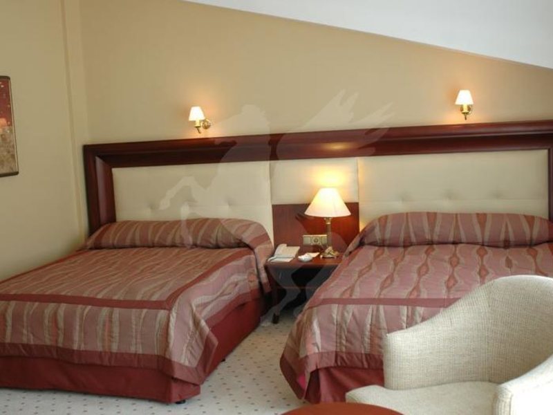 Deluxe Hotel Pineta Park 73454