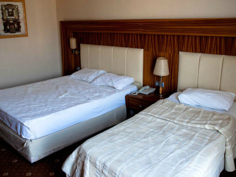 Deluxe Hotel Pineta Park 73468