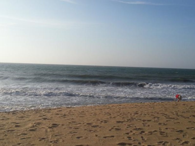 Dephani Beach Hotel  131116