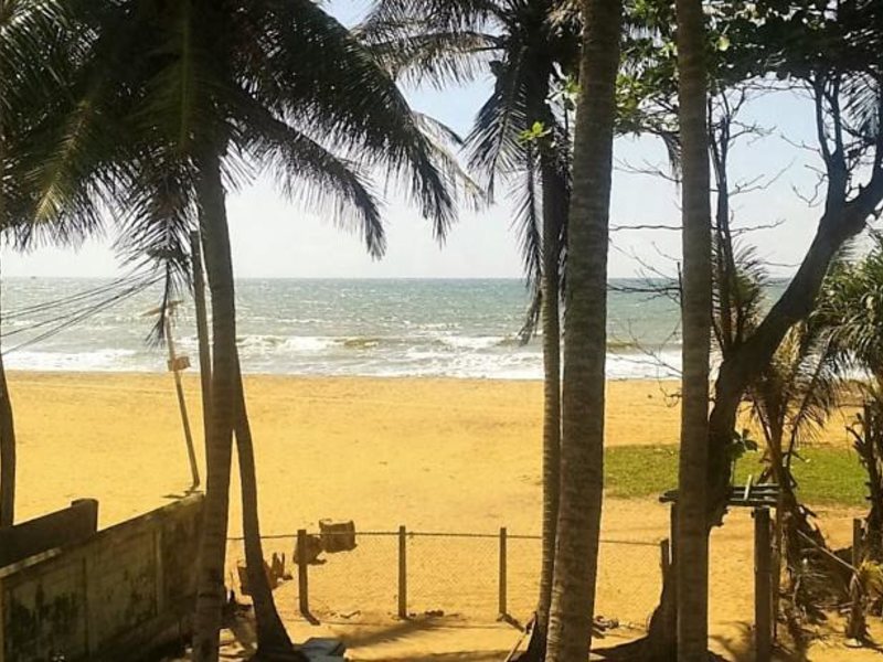 Dephani Beach Hotel  131127