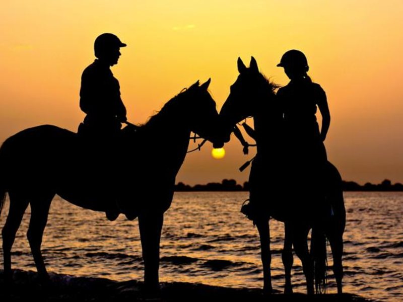 Desert Island Resort & Spa by Anantara 46111