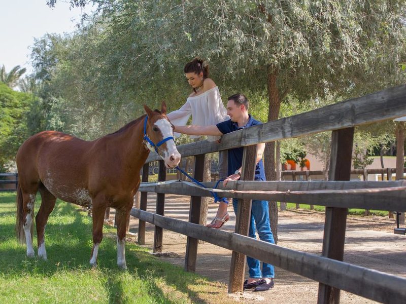 Desert Palm Per Aquum Dubai (ех 270338