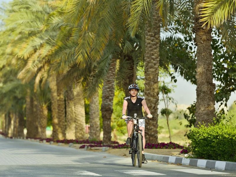 Desert Palm Per Aquum Dubai (ех 272632