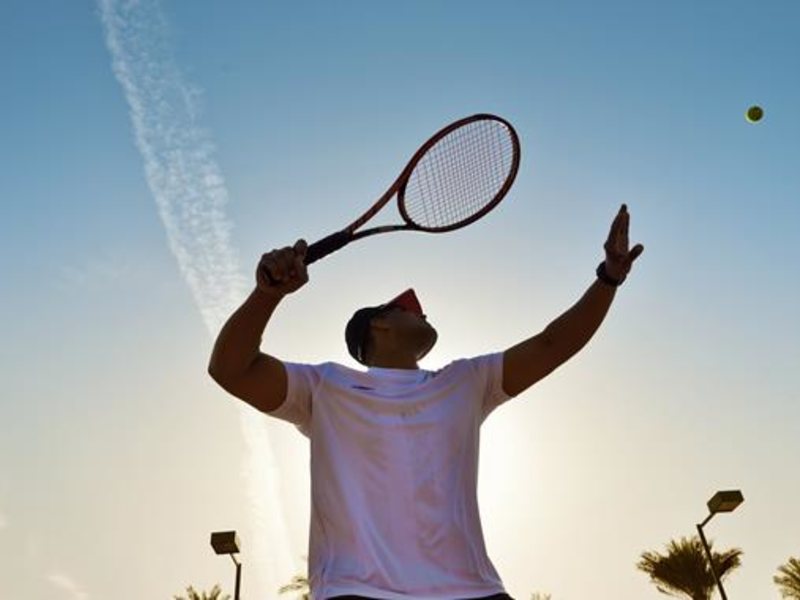 Desert Palm Per Aquum Dubai (ех 272640