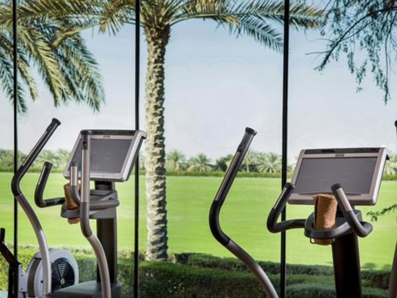 Desert Palm Per Aquum Dubai (ех 272641