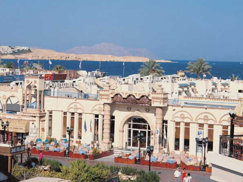 Dessole Cataract Layalina 28453