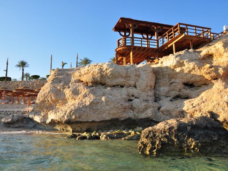 Dessole Nesco Joyous  123092