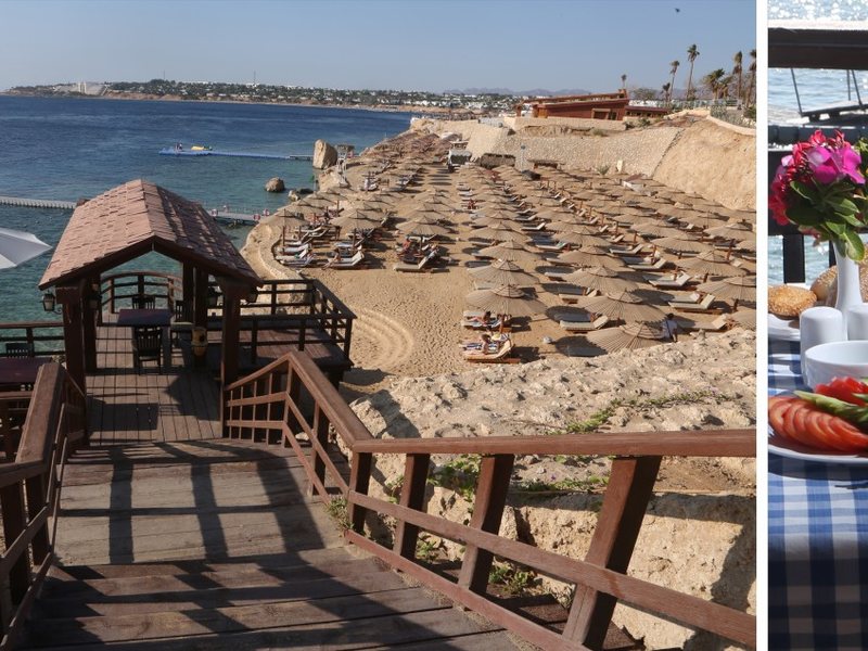 Dessole Nesco Joyous  123093