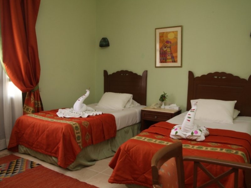 Dessole Nesco Joyous  36784