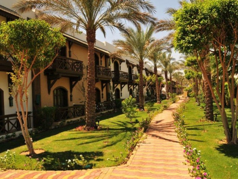 Dessole Nesco Joyous  36786