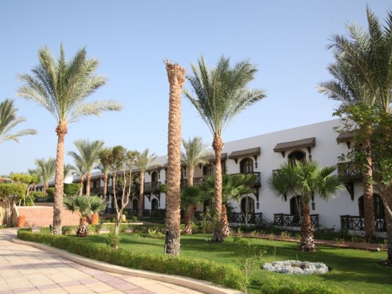 Dessole Nesco Joyous  36793