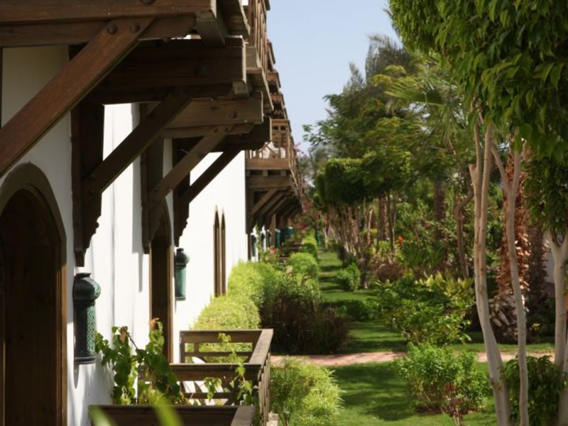 Dessole Nesco Joyous  36797