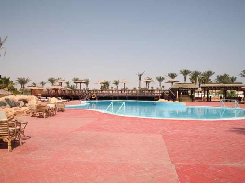 Dessole Nesco Waves  36800