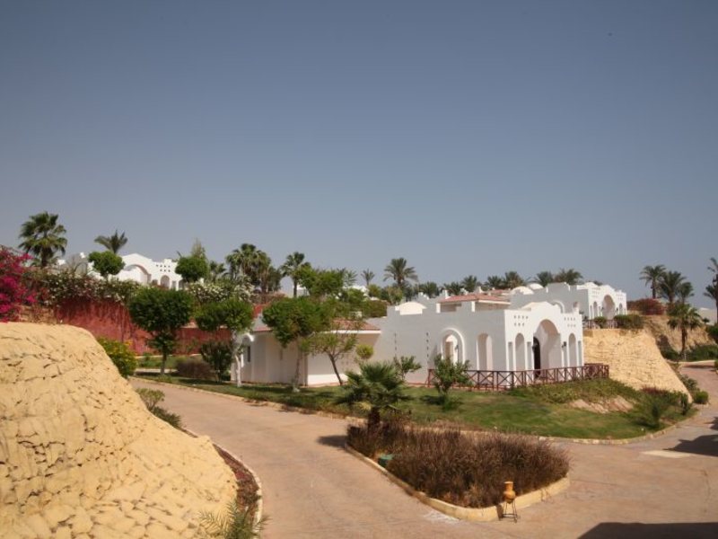 Dessole Nesco Waves  36806