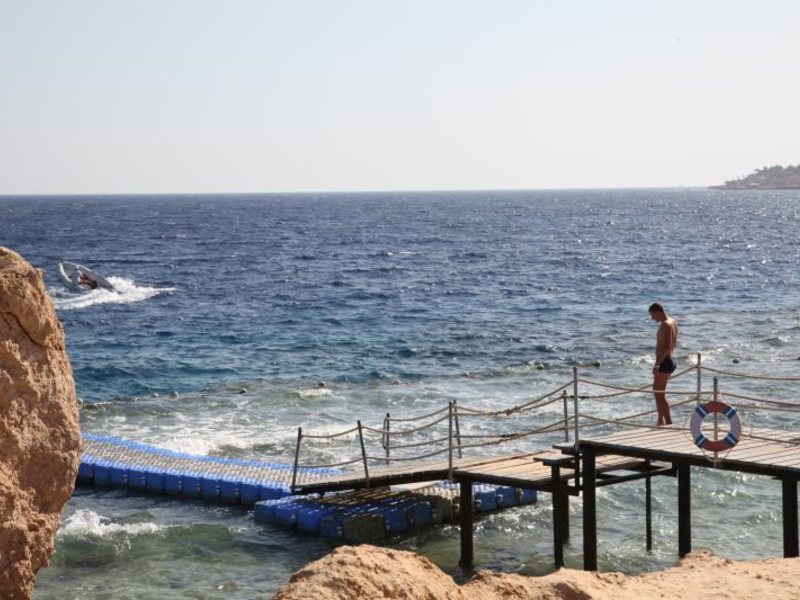 Dessole Nesco Waves  36809