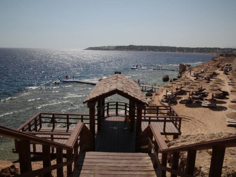 Dessole Nesco Waves  36811