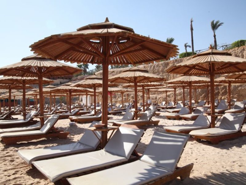 Dessole Nesco Waves  36817