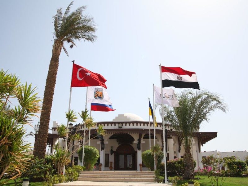 Dessole Nesco Waves  54862