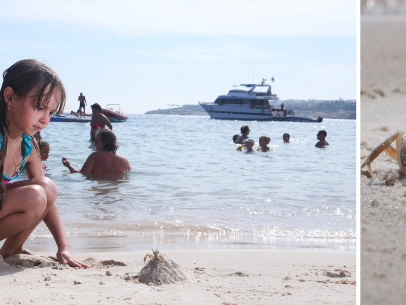 Dessole Royal Rojana Resort  123128