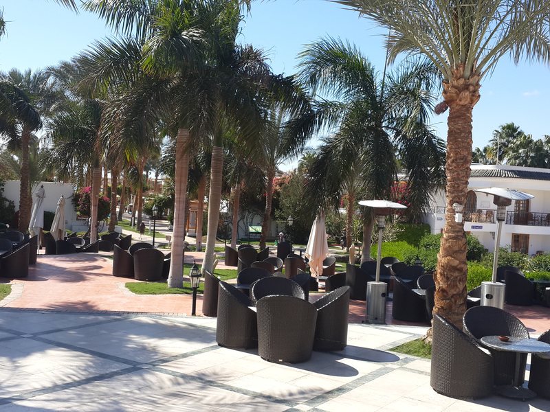 Dessole Seti Sharm Resort  123157