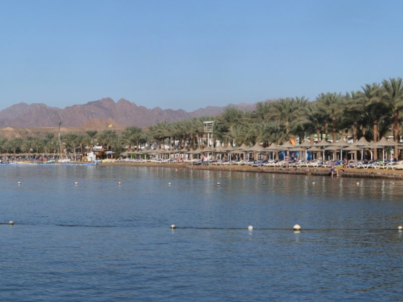 египет дессоле сити шарм. отель fun&sun smart seti sharm шарм-эль-шейх. отель сети шарм шарм-эль-шейх. Dessole seti sharm resort 4 шарм-эль-шейх. Seti sharm шарм эль шейх 4 египет.