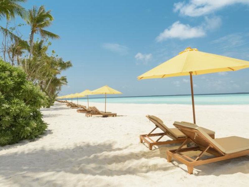 Dhigufaru Island Resort 134492