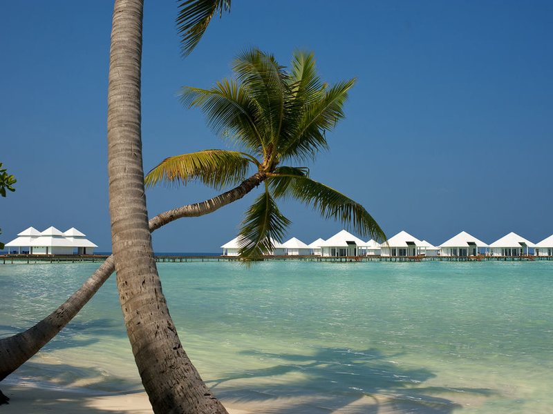 Diamonds Athuruga Maldives 134499