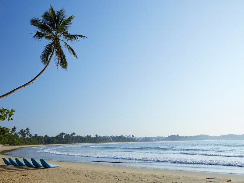 Dickwella Resort and Spa 109881