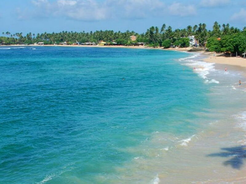 Dilena Beach Resort 106185