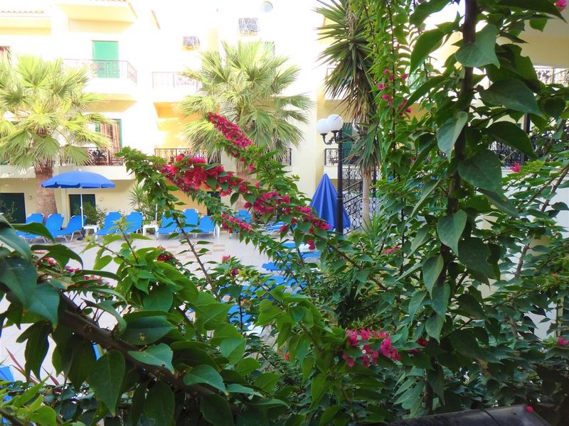 Diogenis Blue Palace 247994