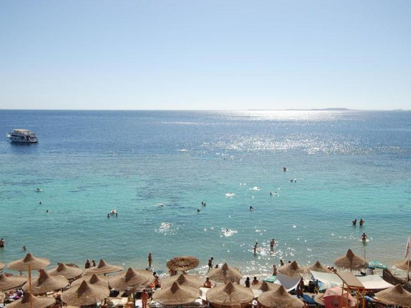 Dive Inn Resort  36474