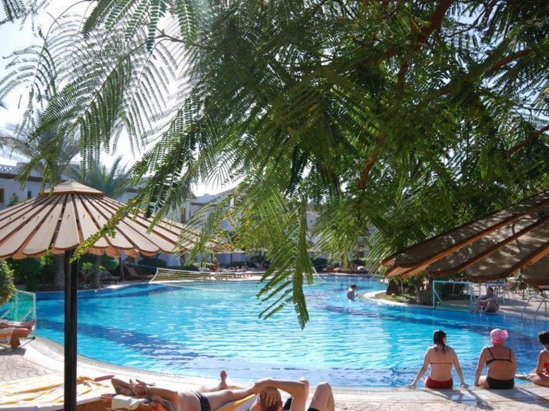 Dive Inn Resort  36476