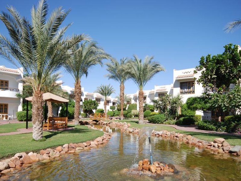 Dive Inn Resort  36487