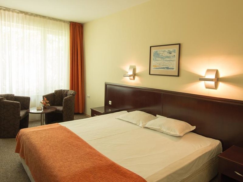 Divesta Hotel 310344