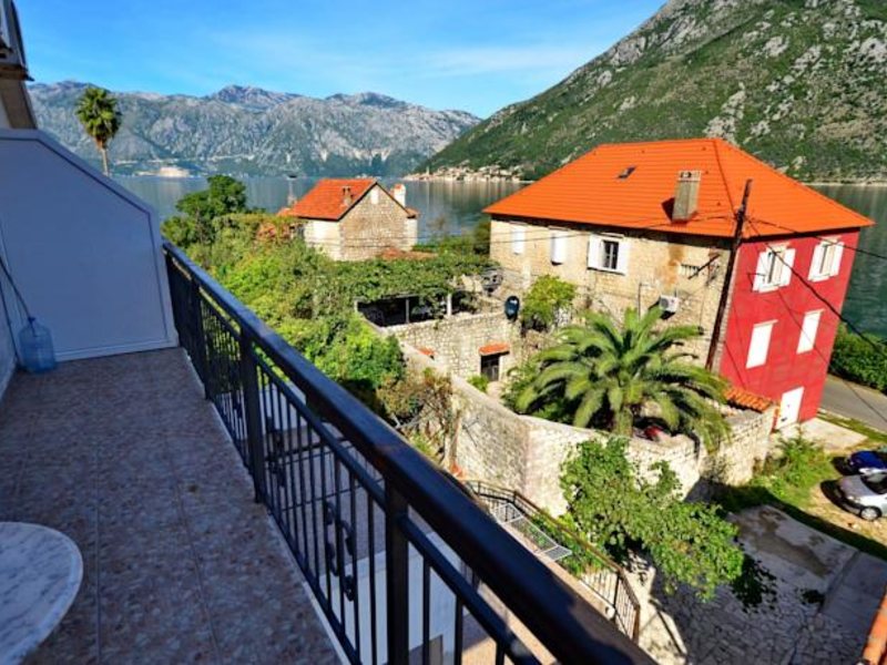 Djurovic Vasilije 69858