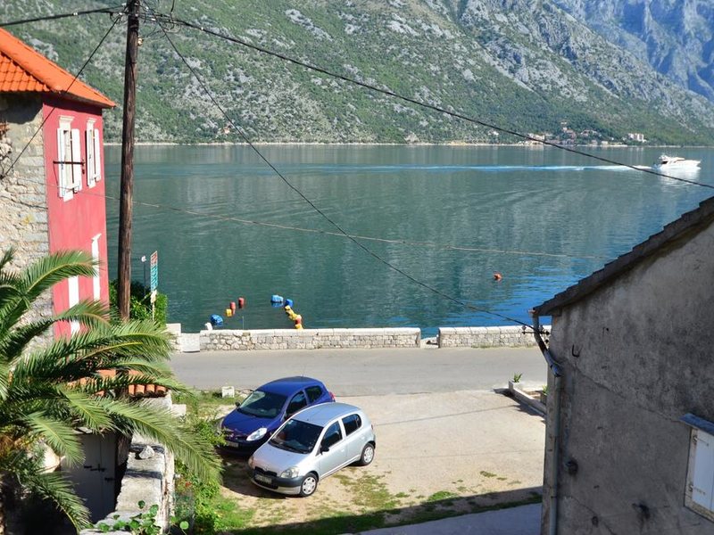 Djurovic Vasilije 69860