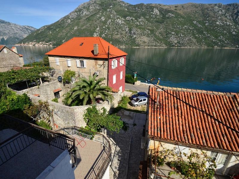 Djurovic Vasilije 69861