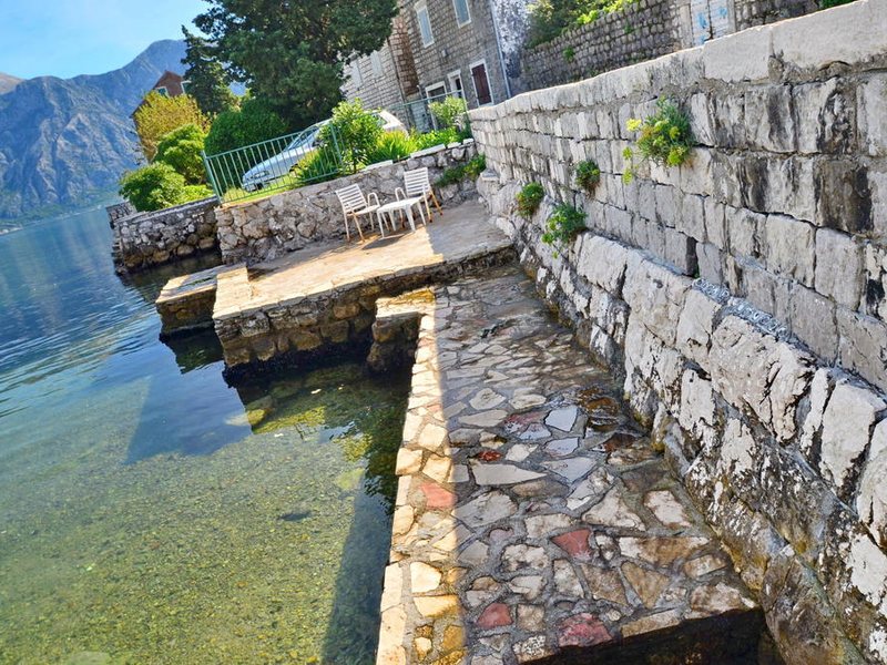 Djurovic Vasilije 69862